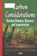 Carbon considerations biochar