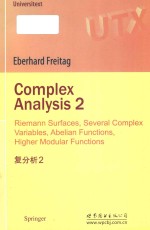Complex analysis 2 Riemann surfaces