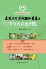 实用中草药彩色图鉴大全集 皮茎木叶花树脂及菌藻类 中草药彩色图鉴