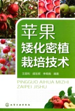 苹果矮化密植栽培技术