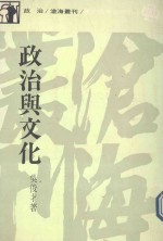 政治与文化