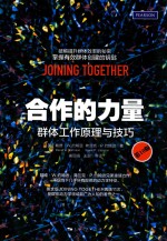 合作的力量 群体工作原理与技巧 第10版