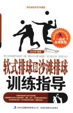 当代运动与艺术潮流 软式排球和沙滩排球训练指导