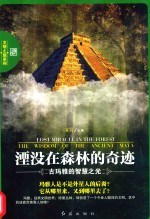 湮没在森林的奇迹 古玛雅的智慧之光