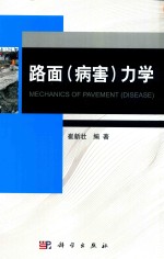 路面(病害)力学