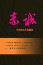 赤诚 永远的战士朱彦夫