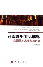 在荒野里看见耶稣 美国黑奴宗教叙事研究