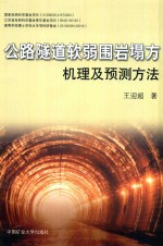 公路隧道软弱围岩塌方机理及预测方法