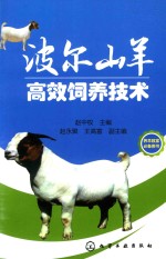波尔山羊高效饲养技术