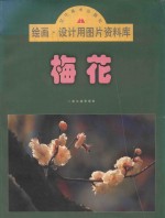 绘画·设计用图片资料库 梅花