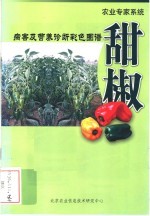 农业专家系统 病害及营养诊断彩色图谱 甜椒