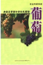 葡萄 病害及营养诊断彩色图谱