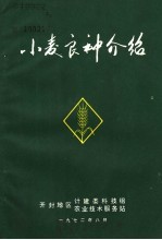 小麦良种介绍