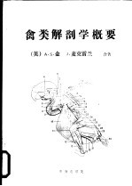 禽类解剖学概要