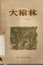 大榆林 戏剧·电影