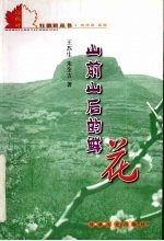 山前山后的鲜花