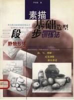 素描基础造型三段六步训练法 静物形体