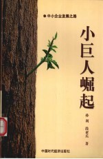 小巨人崛起 中小企业发展之路