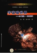 宇宙暗世界 21世纪·宇宙科学