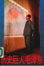 历史巨人毛泽东 (下册)