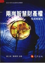 两岸智慧财产权保护与运用