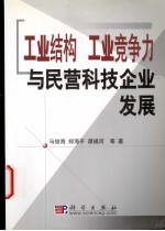 工业结构 工业竞争力与民营科技企业发展