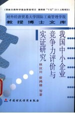 我国中小企业竞争力评价与实证研究