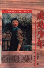 成功少年 20集电视连续剧文学剧本
