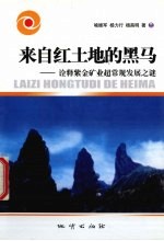 来自红土地的黑马 诠释紫金矿业超常规发展之谜