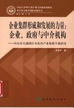 企业集群形成和发展的力量:企业、政府与中介机构 中山市大涌镇红木家具产业集群个案研究
