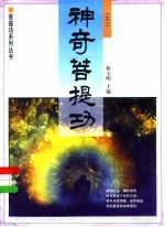 神奇菩提功(之一)