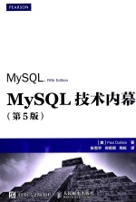 MySQL技术内幕 第5版