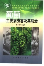 葡萄主要病虫害及其防治