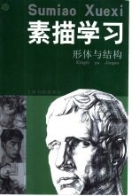 素描学习 形体与结构