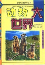 动物大世界 1