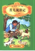 苦儿流浪记
