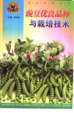 豌豆优良品种与栽培技术