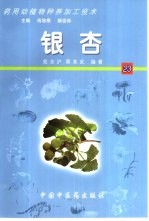 药用动植物种养加工技术 23 银杏