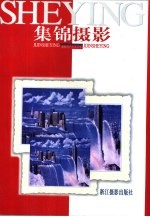 集锦摄影