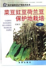 菜豆 豇豆 荷兰豆保护地栽培