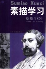 素描学习 临摹与写生