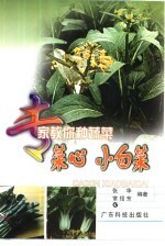 菜心 小白菜