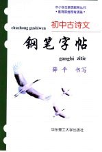 初中古诗文钢笔字帖