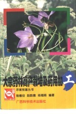 大宗药材高产栽培及药用加工