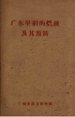 广东早稻的烂秧及其预防