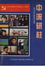 中流砥柱 沈飞共产党员风采录