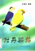 牡丹鹦鹉