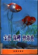 金鲤 锦鲤 热带鲤