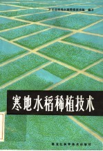 寒地水稻稀植技术