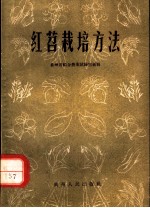 红苕栽培方法